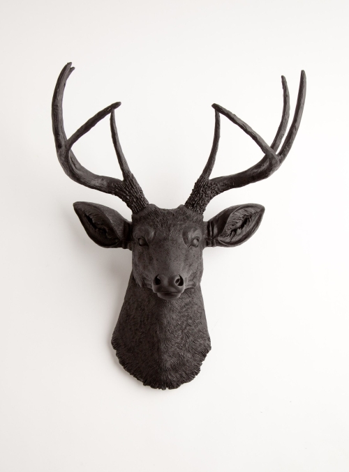 Ragai, antlers, gyvūnų galvos