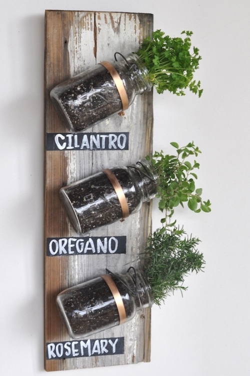 hanging herbs