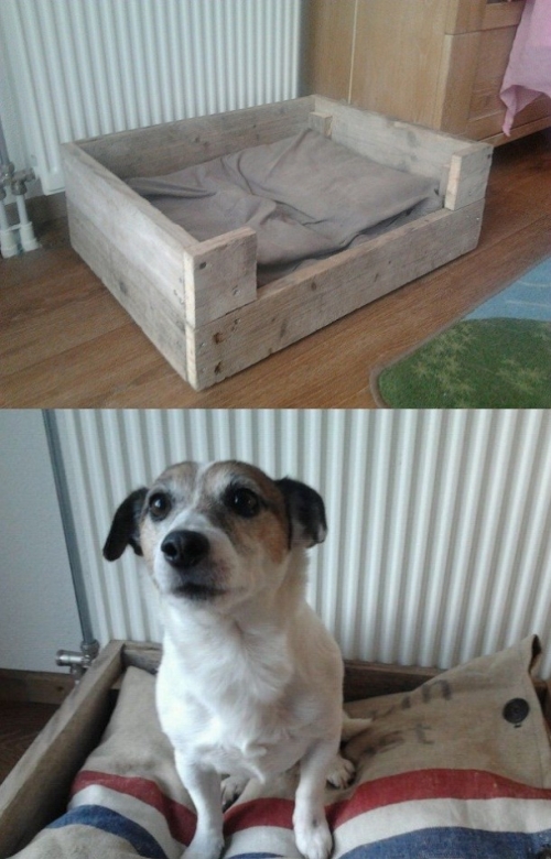 DIY dog bed