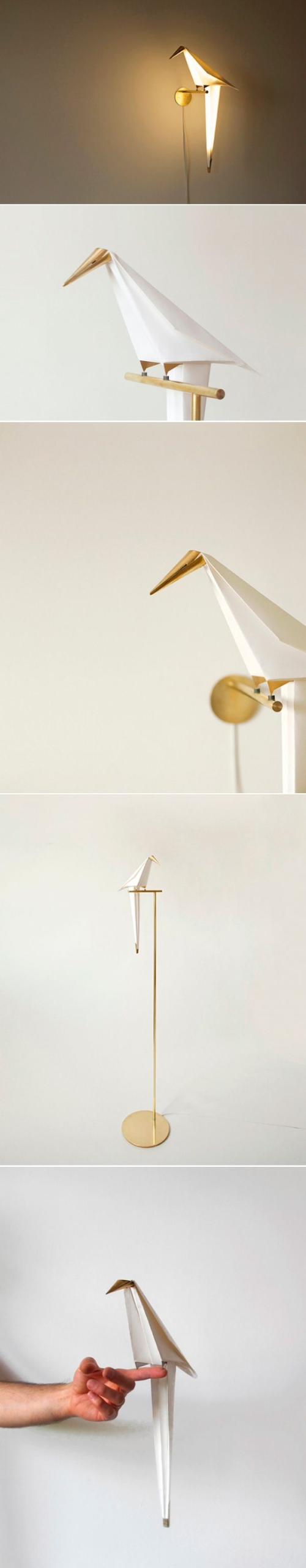 lighting bird