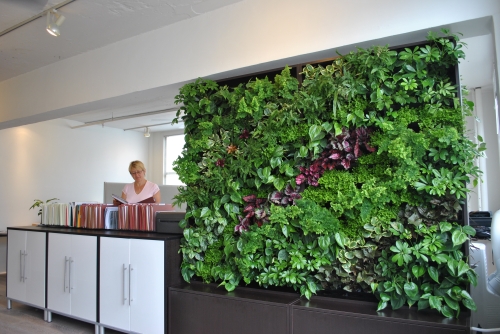 ecologic green wall