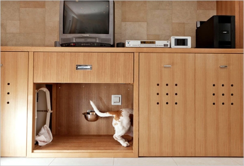 dog house