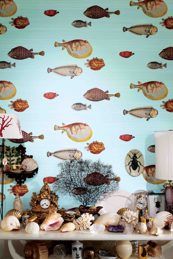 wallpaper fishes
