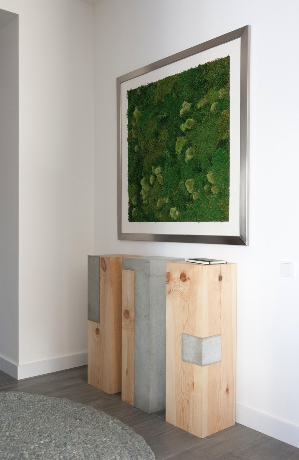 picture of plants