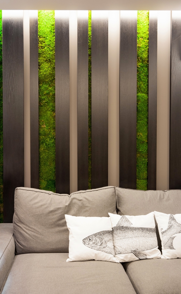  wall decorating plants